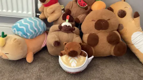 Find the capybara’s game cover