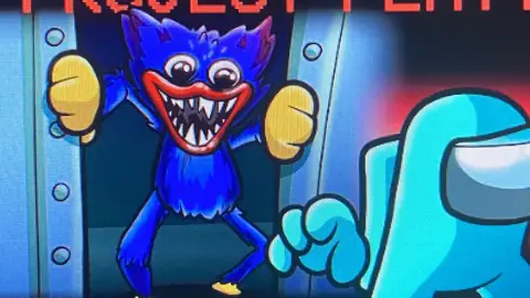Project playtime game cover