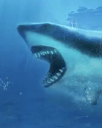 Shark game thumbnail