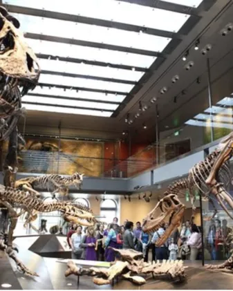 Survive the museum game thumbnail