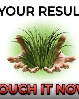 Touch grass  game thumbnail
